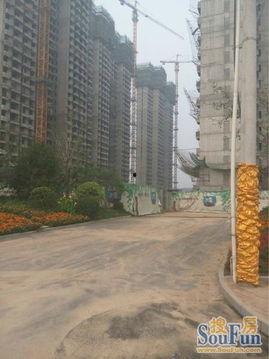 青岛蓝湾爆料最新消息,揭秘神秘项目进展与影响