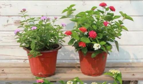 民营医院爆料案例最新视频,真相令人震惊! 第3张 民营医院爆料案例最新视频,真相令人震惊! 第3张